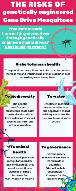 Infographic with a list of risks when using gene drive mosquitoes to fight malaria. Punk and blue background with pictures of water and plants and animals.