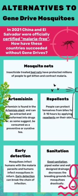 Infographic with different treatment methods for malaria. Pink and blue background with drawings.