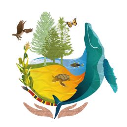 Graphic on a white background of two open hands making space for a whale, turtle, eagle, butterfly and trees, whater and sand.
